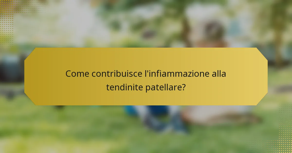 Come contribuisce l'infiammazione alla tendinite patellare?